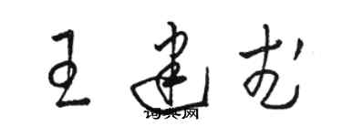 骆恒光王建武草书个性签名怎么写