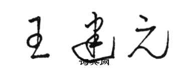 骆恒光王建元草书个性签名怎么写