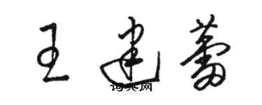 骆恒光王建蕾草书个性签名怎么写