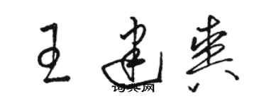 骆恒光王建爽草书个性签名怎么写
