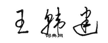 骆恒光王韩建草书个性签名怎么写