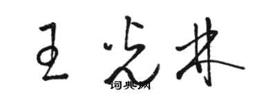 骆恒光王光林草书个性签名怎么写