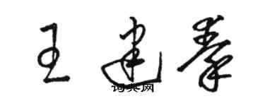 骆恒光王建秦草书个性签名怎么写