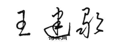 骆恒光王建歌草书个性签名怎么写