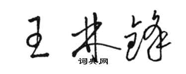 骆恒光王林锋草书个性签名怎么写