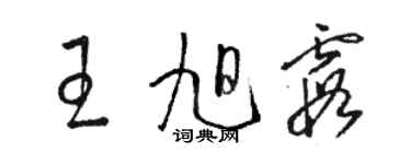 骆恒光王旭霞草书个性签名怎么写