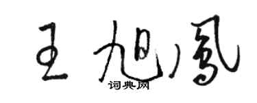 骆恒光王旭凤草书个性签名怎么写