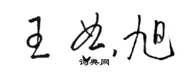 骆恒光王典旭草书个性签名怎么写