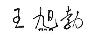 骆恒光王旭勃草书个性签名怎么写
