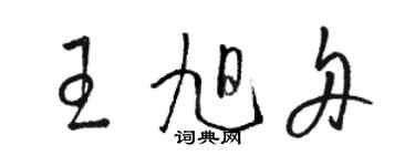 骆恒光王旭舟草书个性签名怎么写