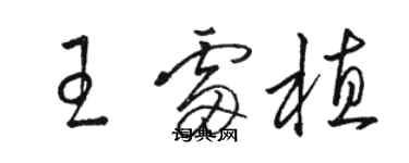 骆恒光王雷植草书个性签名怎么写