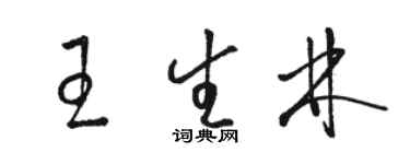 骆恒光王生林草书个性签名怎么写