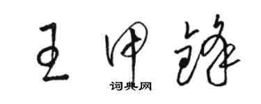 骆恒光王甲锋草书个性签名怎么写