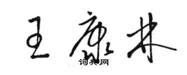 骆恒光王康林草书个性签名怎么写