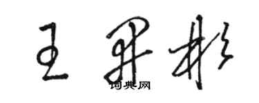 骆恒光王开彬草书个性签名怎么写