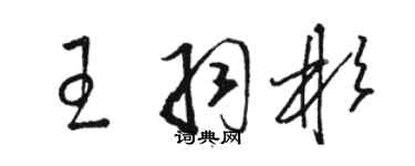 骆恒光王羽彬草书个性签名怎么写