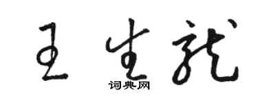骆恒光王生龙草书个性签名怎么写