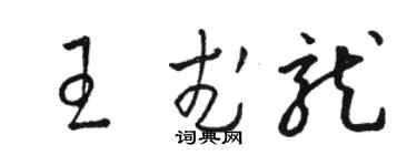 骆恒光王武龙草书个性签名怎么写