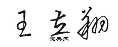 骆恒光王立翔草书个性签名怎么写
