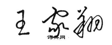 骆恒光王家翔草书个性签名怎么写