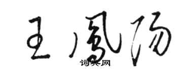 骆恒光王凤阳草书个性签名怎么写