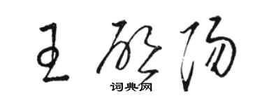 骆恒光王启阳草书个性签名怎么写