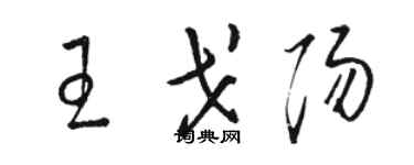 骆恒光王戈阳草书个性签名怎么写