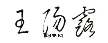 骆恒光王阳露草书个性签名怎么写