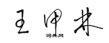 骆恒光王甲林草书个性签名怎么写