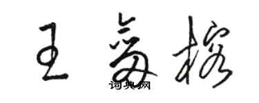 骆恒光王剑榕草书个性签名怎么写