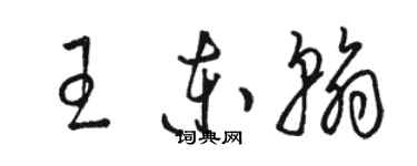 骆恒光王东翰草书个性签名怎么写