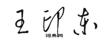 骆恒光王印东草书个性签名怎么写