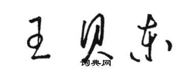 骆恒光王贝东草书个性签名怎么写
