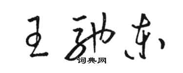 骆恒光王驰东草书个性签名怎么写
