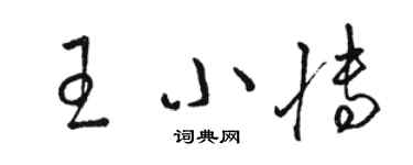 骆恒光王小博草书个性签名怎么写