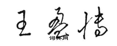 骆恒光王盈博草书个性签名怎么写