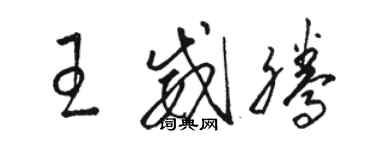 骆恒光王威腾草书个性签名怎么写
