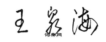 骆恒光王泉海草书个性签名怎么写