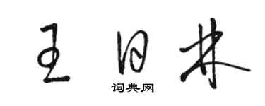 骆恒光王日林草书个性签名怎么写