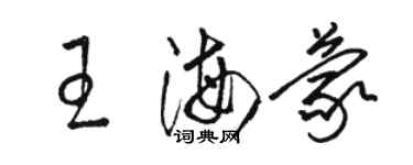 骆恒光王海蒙草书个性签名怎么写