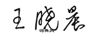 骆恒光王晓晨草书个性签名怎么写