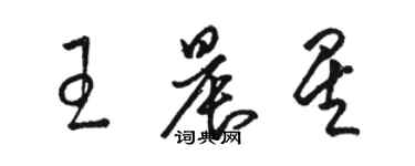 骆恒光王晨星草书个性签名怎么写