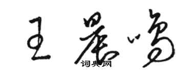 骆恒光王晨鸣草书个性签名怎么写