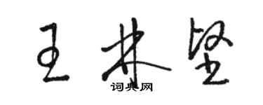 骆恒光王林坚草书个性签名怎么写