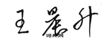 骆恒光王晨升草书个性签名怎么写