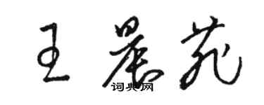 骆恒光王晨菲草书个性签名怎么写