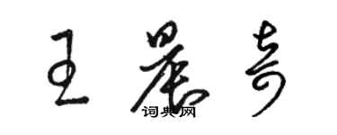 骆恒光王晨奇草书个性签名怎么写