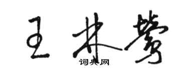 骆恒光王林莺草书个性签名怎么写