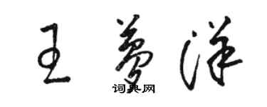 骆恒光王梦洋草书个性签名怎么写
