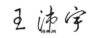 骆恒光王沛宇草书个性签名怎么写